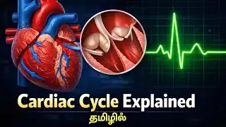 Cardiac cycle clearly explained in(Tamil) MED TAMIL