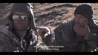 'The Velvet Queen' (2021) - Camoflauge