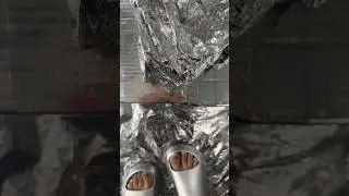 How This Alien 👽 Preserves Their Food Supply 🤣🐣🤣 #silver #alien #food #preservation