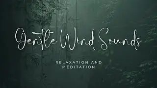 Gentle Wind Sounds for Relaxation and Meditation | Soothing Nature Ambience