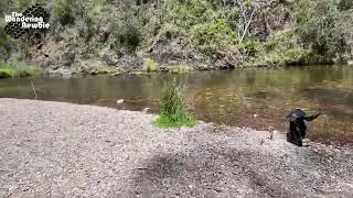 Blackbird Flat Campground - Howqua Hills HA - Mansfield - Victoria