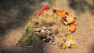 ArtQuest: Искусство повсюду (Природа - Коллаж)