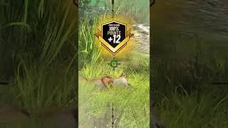 Hunting Swift Fox - Way Of Hunting | Hunting Clash #gaming #hunting #animals #shorts