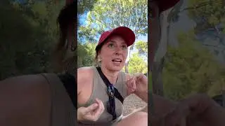 Исследуйте пешеходные маршруты в Аделаиде 📍Бомонт Линк