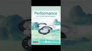 Performance:PTFE bonded EPDM gasket(Anhui CXJW )  | Industrial Sealing Solutions | Raidoseal
