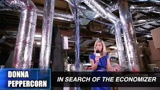 The Truth about the Economizer