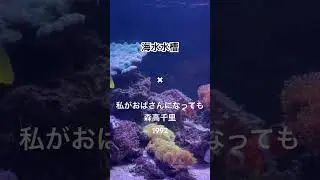 海水水槽✖ #私がオバさんになっても #森高千里 / #渡良瀬橋 #気分爽快 #コンサートの夜 #江口洋介 #まったナシ #オバさん #JPOP