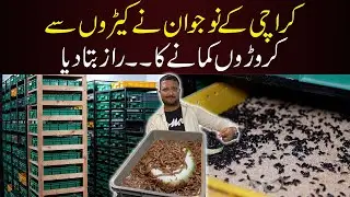 Karachi Youth Turns Mealworms into a Booming Business