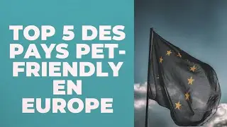 TOP 5 DES DESTINATIONS PET-FRIENDLY EN EUROPE