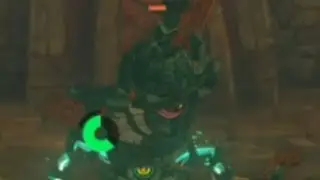 Zelda TOTK clips that made my wife leave me