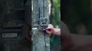 Используйте функцию &laquo;live view&raquo; на Moultrie Mobiles, чтобы навести камеру 🦌 #охотникнаоленей #сез...