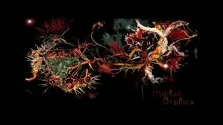 Drumming - Orphica album (2007) by Mikhail Karikis