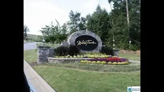 Homes for sale - 101 Wild Timber Pkwy, Pelham, AL 35124