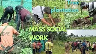 Mass social work / Tree plantation 🌲/ Environment protection/ yingsh&uuml;kur village/
