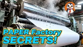 How Paper is Made | Paper Manufacturing Process Explained