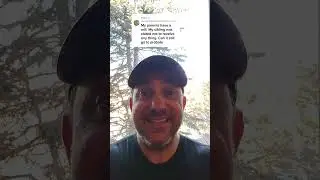 Wills must go through probate and are easier to challenge than Trusts