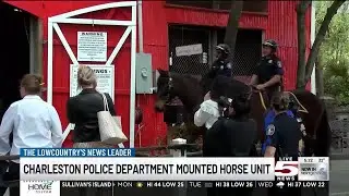 VIDEO: Charleston Police Department&rsquo;s Mounted Horse Unit looking to grow