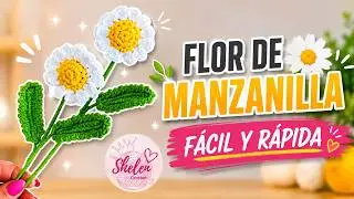 Flor de Manzanilla crochet 😍🥰🌼
