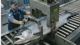 Inside a Modern Fish Processing Plant: From Fresh Catch to Ready-to-Cook Fillets (Full Process)