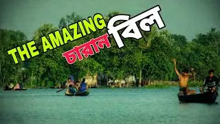 The amazing beauty ||চারান বিল(full Vlog) ||কালিহাতী ||টাঙ্গাইল || Traveller Aminul
