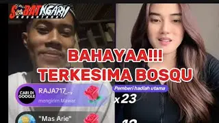 BAHAYA TERKESIAMA BOSQU