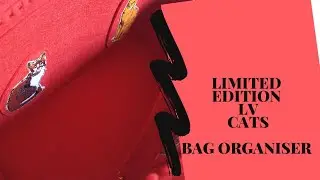 Limited Edition Speedy 30 bag organiser by Luxurybagheaven.com