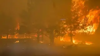 Firefighter rescued homeowner in wheelchair as Flat Fire closed in