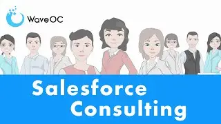 How we do Salesforce Consulting Services - WaveOC