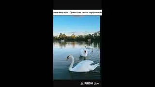 Live streaming of eslem.61
