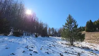 Forest walk 2 - Mountains Volovec, winter - spring nature, beautiful wilderness, Slovakia (20.03.25)