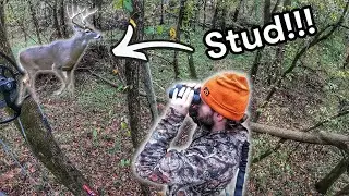 Bowhunting Whitetail Bucks in Tennessee (Self-Filmed)