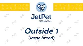 NS: Outside #1 - January 11, 2026
