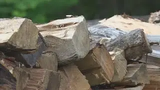 New law could help Mainers access free firewood for home heating