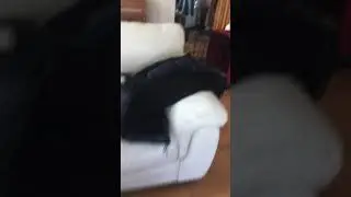 Fart