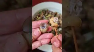 Steamed  snails#short