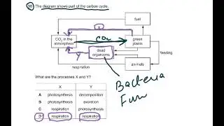 5090 O  LEVEL BIOLOGY JUNE 2019 PAPER 12 (VIDEO 2)