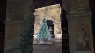 New York, Christmas Tree, Washington Square Park #shorts #christmas #park #peace #love #joy #usa