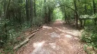 Trap Pond Thursdays: Trap Pond State Park Summer S2 Ep. 9