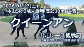 1/17(土) 中山5R 3歳未勝利『クイーンアン』出走レース観戦記