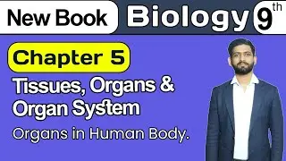 9th Class Biology Chapter 5 | Organs in Human Body | Class 9th Biology New Book 2025
