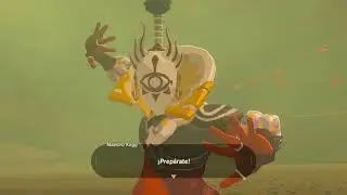 Batalla Maestro Kogg - Zelda Breath Of The Wild 60FPS