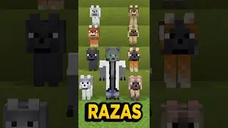 Los Nuevos LOBOS en la VIDA REAL #minecraft