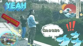 【Phong Wakayama】Holiday Vlog | |C&acirc;u c&aacute; ở nhật bản| |fishing japan | |釣り体験.