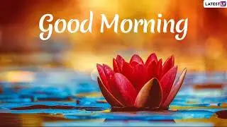 jio phone me paytm cash kmaye