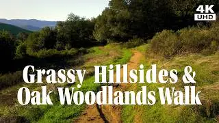 Calm Grassy Hillside and Oak Woodland Walk on West Wind Trail at Helen Putnam Regional Park