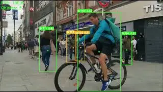Bot-SORT Algorithm Test