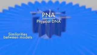 Physna -  Physical DNA Explained