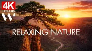 Relaxing Nature Scenes | Calm Background Music &mdash; Soft Mind Reset