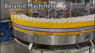 24,000BPH Complete Juice/ Particle 5 in 1 Filling Packing Line 