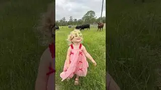 Goldie in a field of Cows 🐄 Christmas Day ❤️🎄